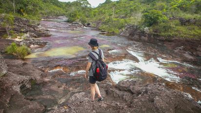 Caño Cristales, una joya natural a un vuelo desde Bogotá, te espera con aguas de colores, selva viva y la magia del llano colombiano. &nbsp; &nbsp; &nbsp; &nbsp; &nbsp; &nbsp;
