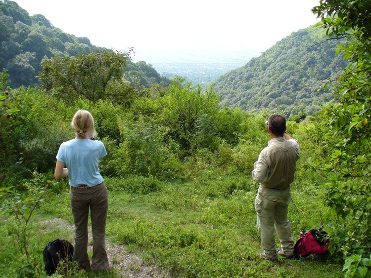 En San Lorenzo se pueden realizar caminatas por sus parajes poblados de arroyos.