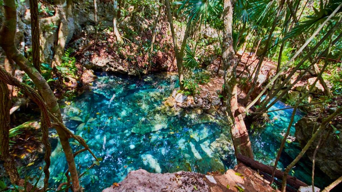 Los 5 cenotes que debes conocer en la Riviera Maya