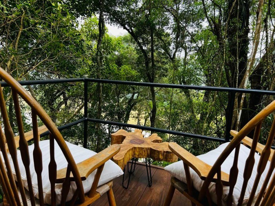 Glamping Iguazú, una de las propuestas de Cuenca del Plata, ofrece 11 domos inmersos en la Selva Misionera para vivir experiencia de dormir cerca de la naturaleza. &nbsp; &nbsp;