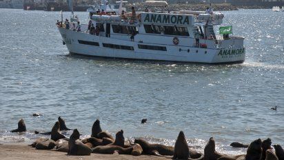 Mar del Plata ¿Cuáles son los 5 imperdibles de la temporada?