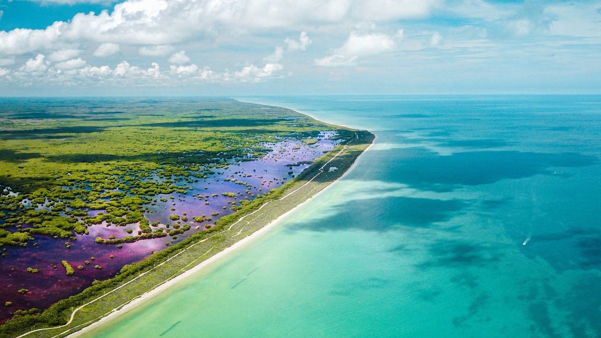 Explora las maravillas naturales en las costas de Yucatán.