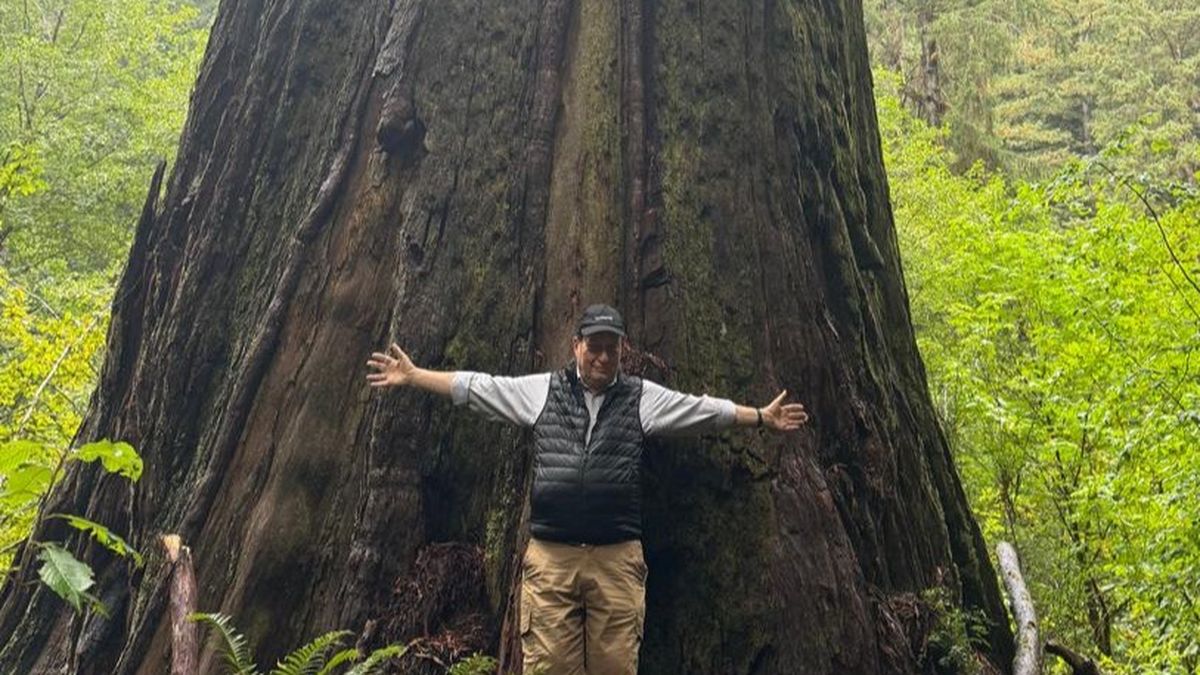 Juan Toselli en el Parque Nacional Redwood, reconocido por sus enormes árboles de hasta 100 metros.