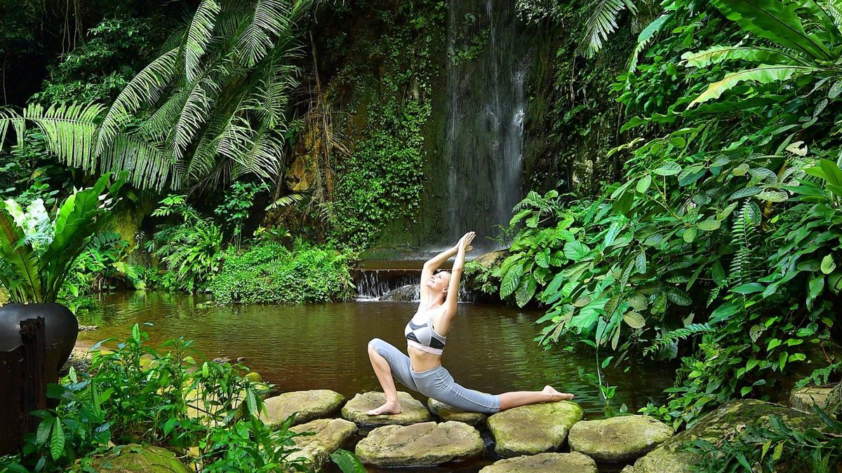 Malasia propone actividades naturales surrealistas.