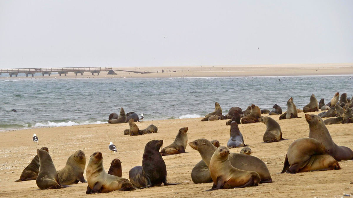 Explora Namibia más allá de los safaris en tu viaje por África.