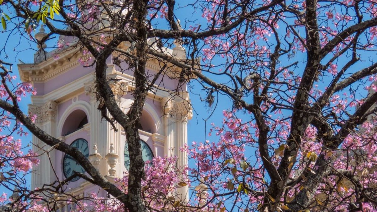 La Catedral Basílica de Salta es uno de los edificios más antiguos e interesantes de la ciudad. La Catedral Basílica de Salta es uno de los edificios más antiguos e interesantes de la ciudad.