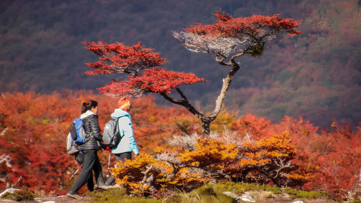 Otoño en Ushuaia: una de las mejores épocas para descubrir este encantador destino de la Patagonia.&nbsp;