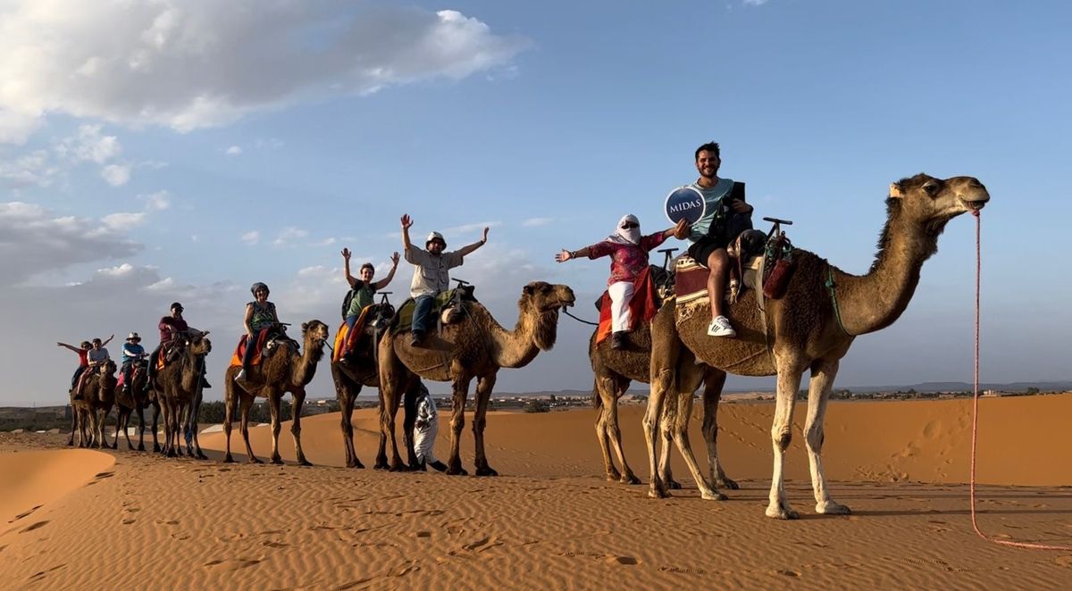 King Midas está presente en todo el mundo a través de sus viajes grupales.