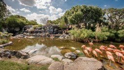 altText(Temaikèn espera a sus visitantes esta Semana Santa)}