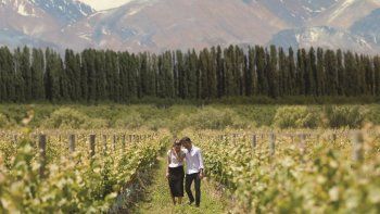 Mendoza se encuentra entre las 11 Capitales del Vino a nivel global.&nbsp;