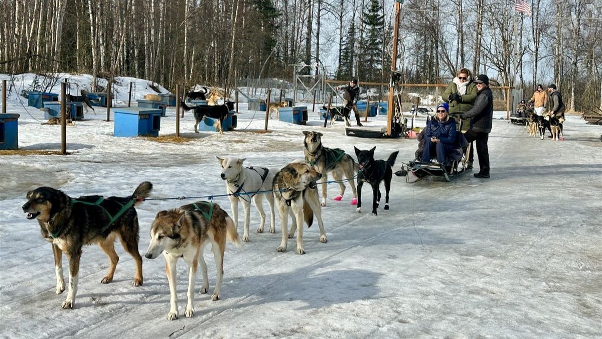 El paseo en trineo con perros husky.