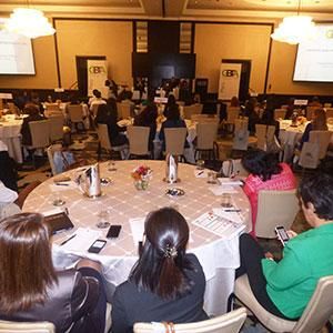 - Ladevi Medios y Soluciones
