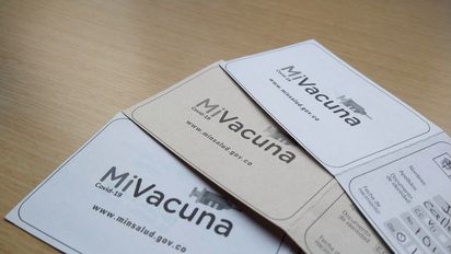 ¿Qué hacer en caso de pérdida del carné de vacunación?
