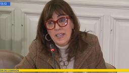 Mónica Zalaquett, presidenta ejecutiva de Federación de Empresas de Turismo de Chile, expuso ante la Comisión de Seguridad del Senado.