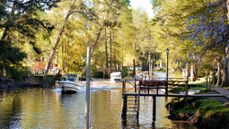 altText(Escapadas de un día: ¿Qué hacer en el delta del Tigre?)}