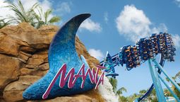 Manta, una de las montañas rusas con adrenalina pura garantizada en SeaWorld Orlando.