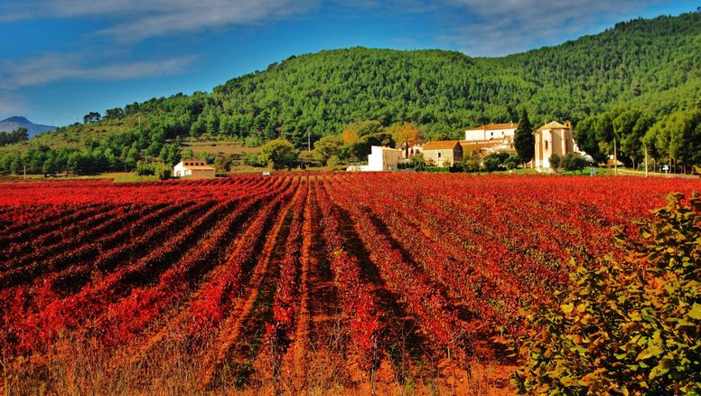 Cataluña: las bodegas de Tarragona forman parte del Grand Tour de la región.
