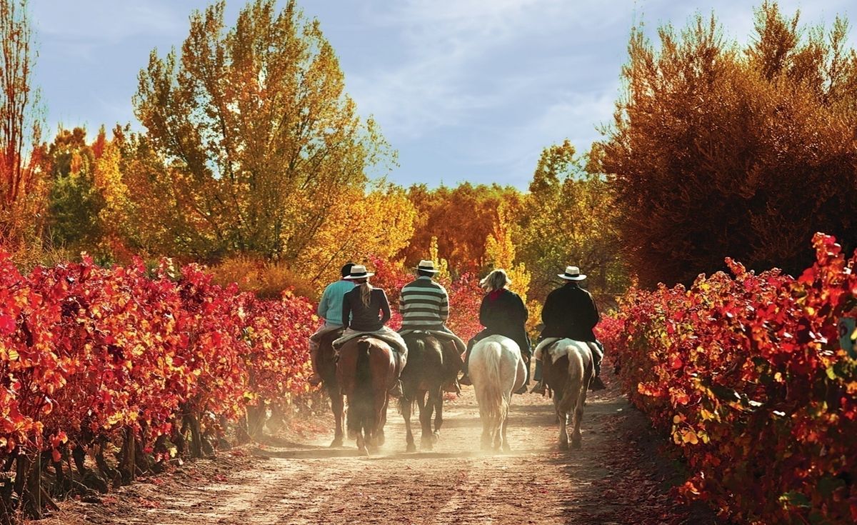 Entre los viñedos de Mendoza es posible disfrutar de cabalgatas.