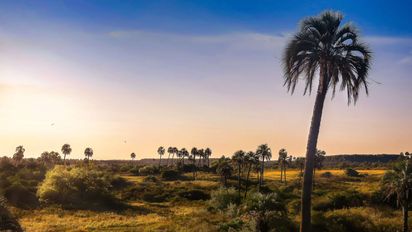 10 destinos de Entre Ríos para conocerlo de punta a punta