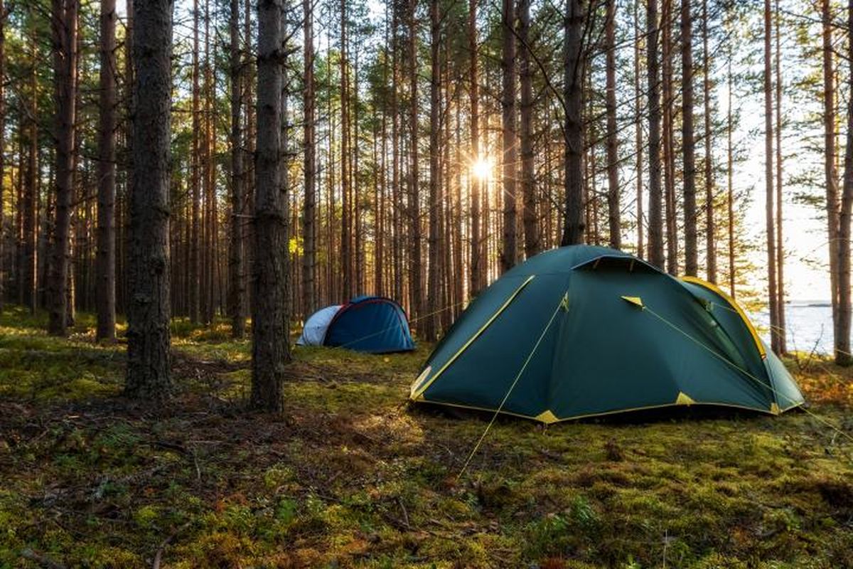Un camping en un bosque de España.