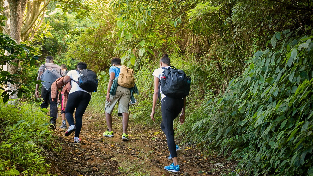 Adéntrate a la imponente naturaleza de Jamaica a través de sus parques nacionales.
