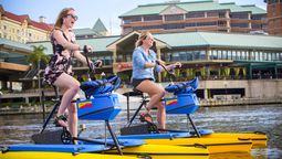 Vacaciones en Florida: descubre Tampa Bay y sus principales atractivos.&nbsp;