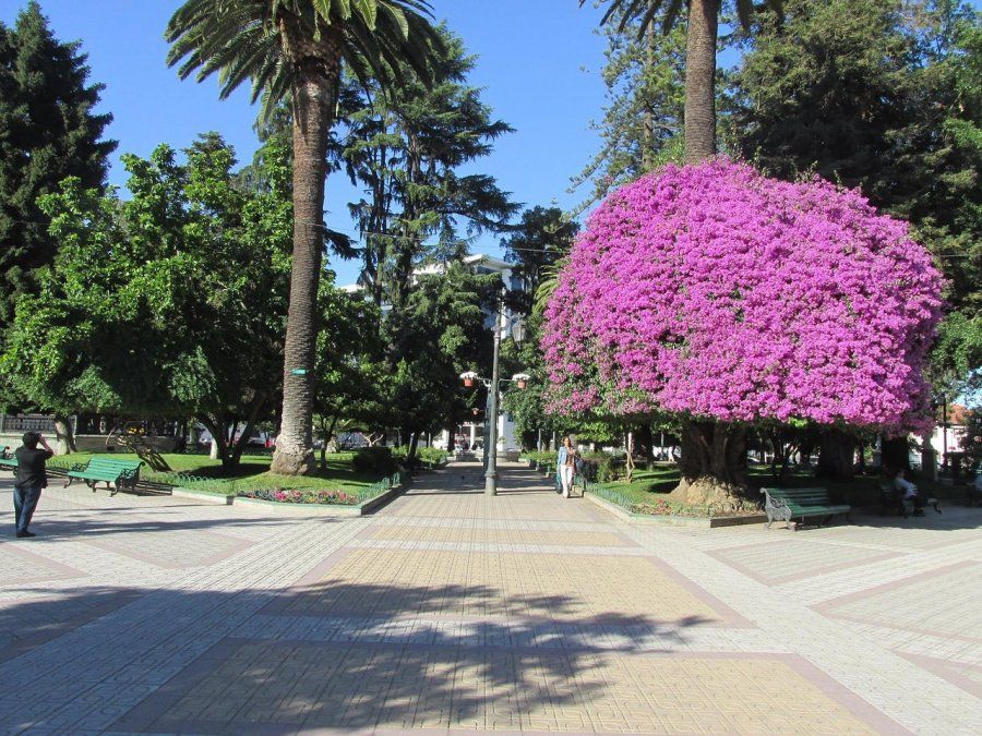 Escapadas. La Plaza de Armas de Talca es un sitio histórico.