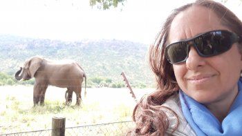 La presencia de los elefantes a pocos metros del lodge resulta fascinante.