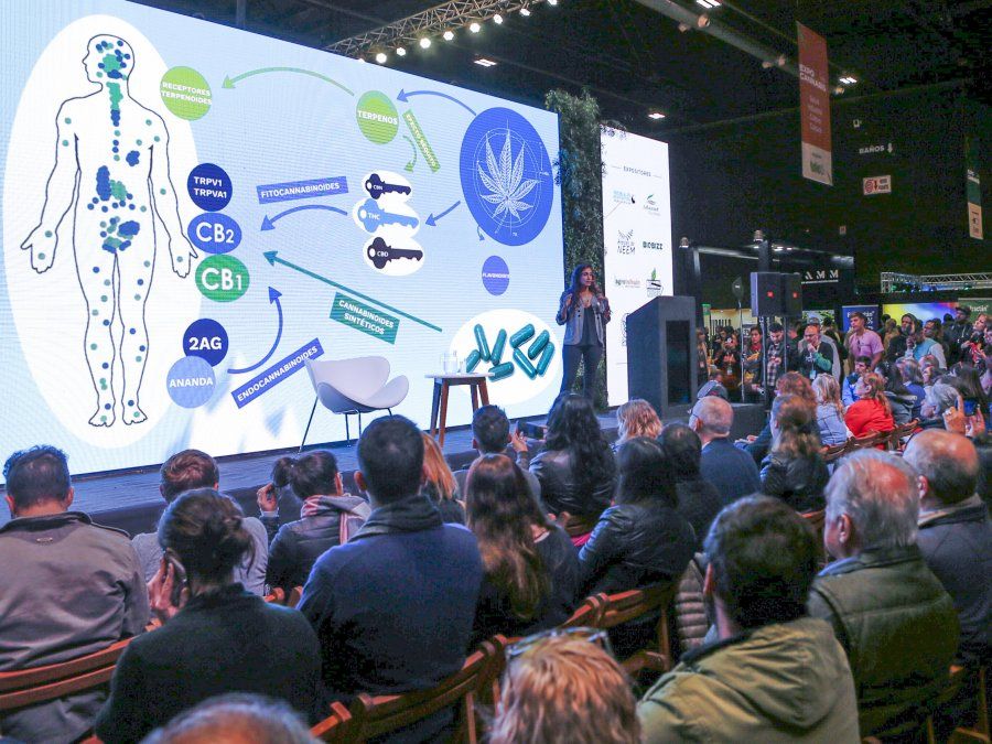 La Rural: esta semana tendrá lugar la Expo Cannabis en Palermo.
