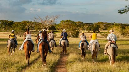 Explorar la riqueza natural y cultural de Colombia a caballo es un viaje lleno de aventuras y paisajes inolvidables.