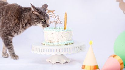 La chef Nohelia Vargas presentó una línea de snacks naturales para perros y gatos.