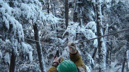 Iguazú, Bariloche y San Martín de los Andes son algunos de los destinos ideales para realizar canopy en las vacaciones de invierno. Iguazú, Bariloche y San Martín de los Andes son algunos de los destinos ideales para realizar canopy en las vacaciones de invierno.