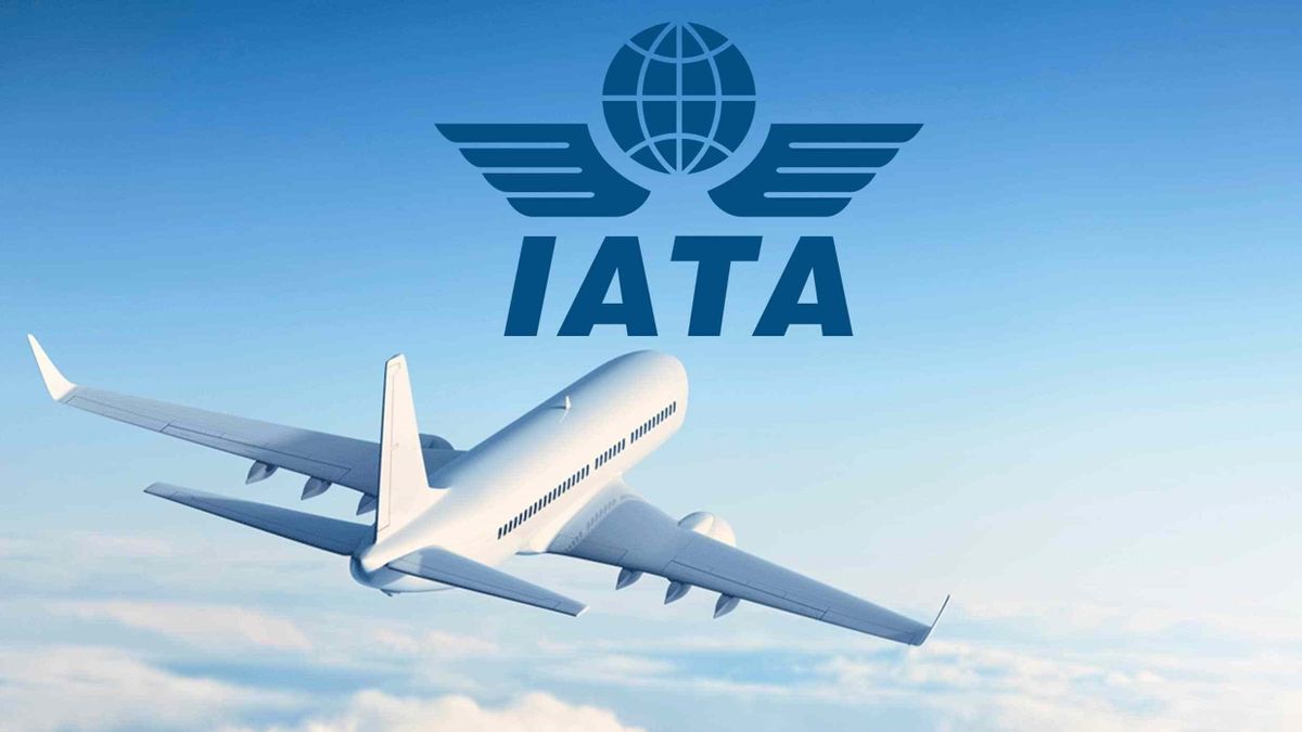 Cartel promocional de la asociaci&oacute;n IATA.&nbsp;
