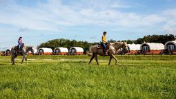 altText(Florida: ¿Qué hacer luego de visitar los parques Disney y Universal Orlando?)}