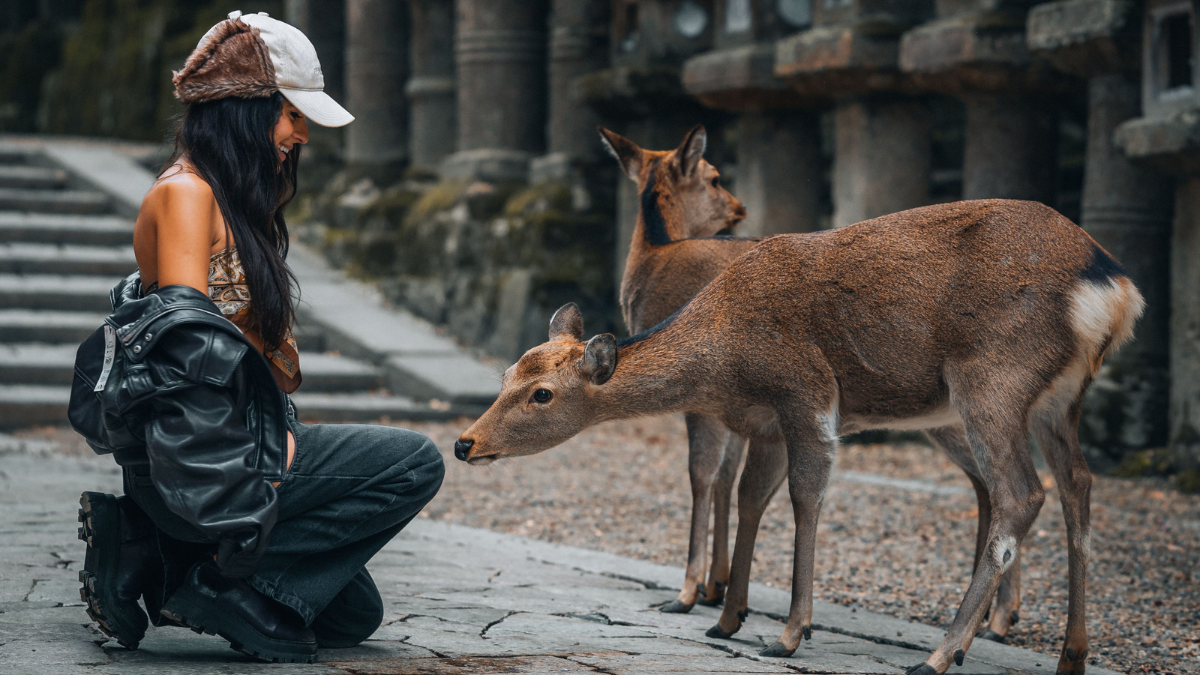 Nara se volverá una parada obligada en tus vacaciones por Japón.