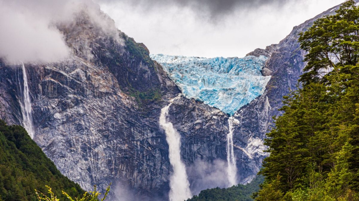Sernafor reemplazará a Conaf en el cuidado y preservación del bosque nativo de Chile. - Ladevi Medios y Soluciones Sernafor reemplazará a Conaf en el cuidado y preservación del bosque nativo de Chile.