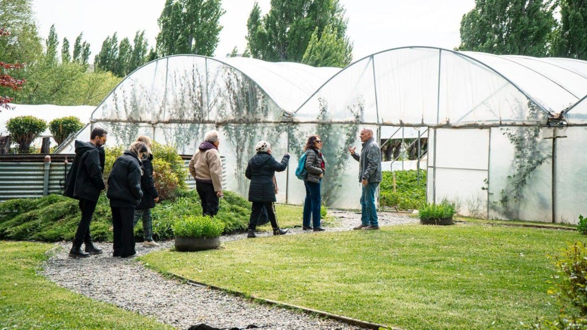 Escapadas a Patagonia: la gastronomía KM. 0 en El Calafate es una necesidad logística que se convirtió en virtud. Escapadas a Patagonia: la gastronomía KM. 0 en El Calafate es una necesidad logística que se convirtió en virtud.