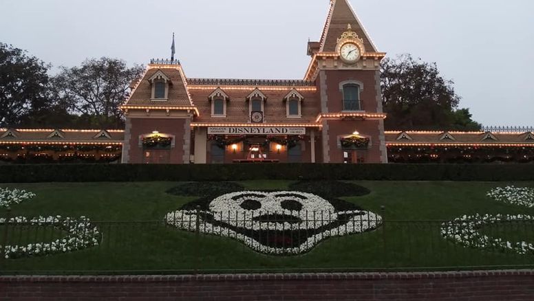 La magia de Disney está de vuelta en Disneyland Resort con atracciones reimaginadas y nuevos territorios para vivir una experiencia única.