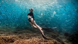 Malasia cuenta con islas increíbles para realizar buceo.