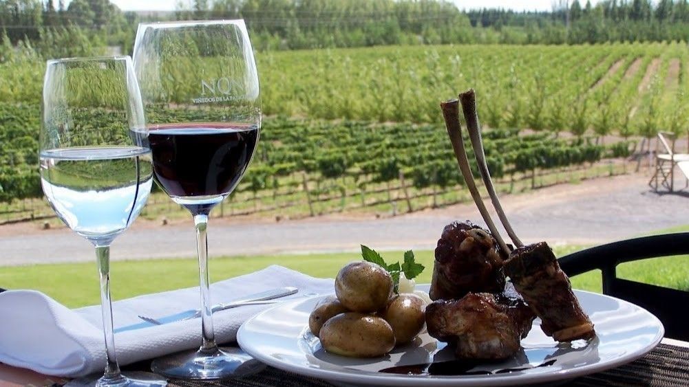 Verano 2025 en Patagonia: Neuquén es una de las provincias vitivinícolas más jóvenes de la Argentina.