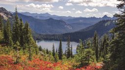 Vacaciones en Estados Unidos: la presencia del volcán marca la fisonomía de todo el entorno del Mount Rainier National Park.