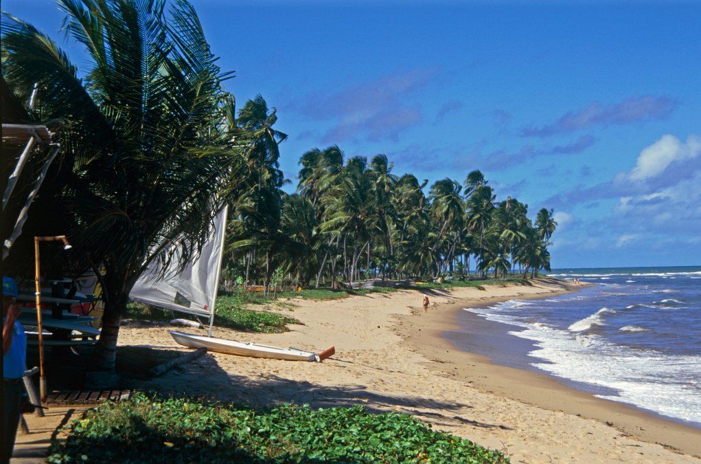 Praia do Forte es el destino adecuado para quienes deseen disfrutar de las cristalinas aguas de esta hermosa playa brasileña en vacaciones de invierno.