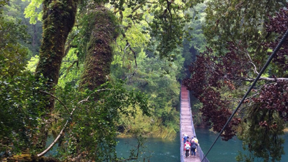 Chile ya había ganado el premio a Mejor Destino Verde de los World Travel Awards en 2019 y 2020.