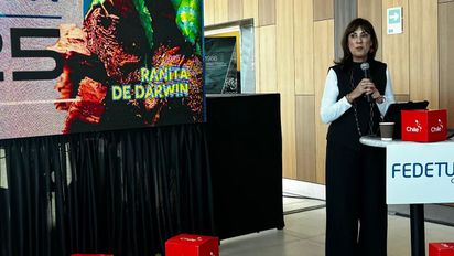 Fedetur pide acelerar Ley de Reactivación Turística
