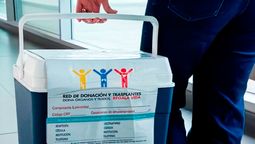 Avianca transportó más de 500 órganos vitales para trasplantes y muestras de sangre en Colombia y Ecuador.&nbsp;