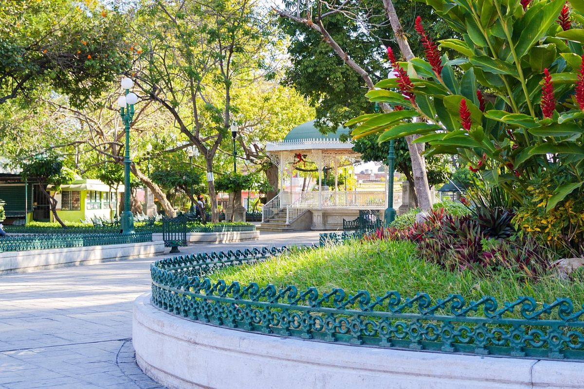 Siete de estas nuevas rutas de Volaris pretenden incentivar la conectividad y actividad económica en Chiapas y Oaxaca.