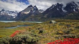 El nuevo sistema de tickets está afectando el ingreso de grupos al Parque Nacional Torres del Paine, en Magallanes. 