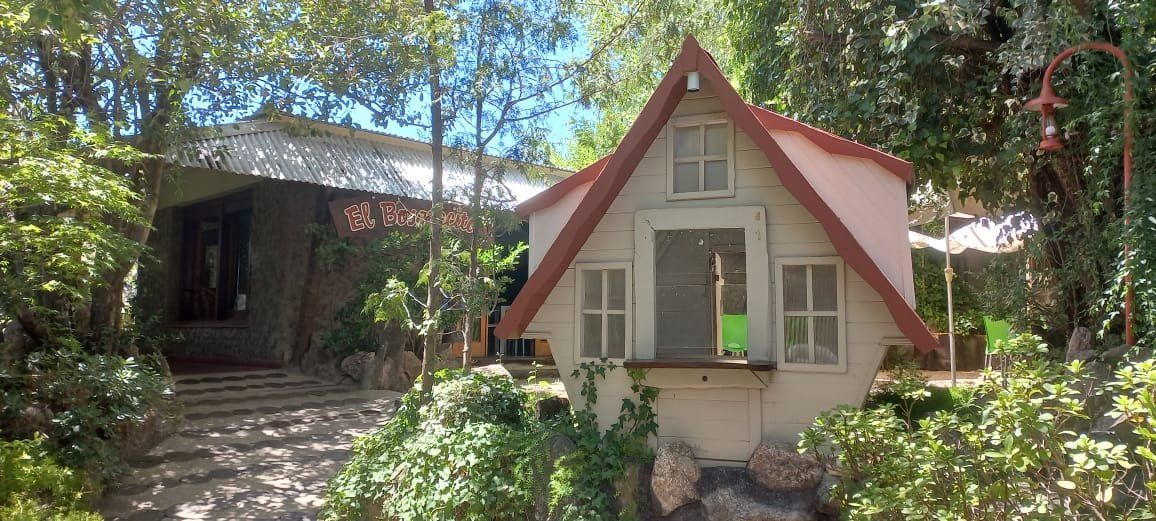 Villa Carlos Paz: la entrada al complejo Bosque Aventura es de $ 3.500.
