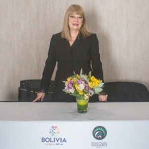 - Ladevi Medios y Soluciones