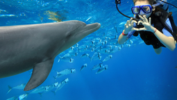 Vive estas experiencias de ecoturismo en tu próxima escapada a Puerto Vallarta.